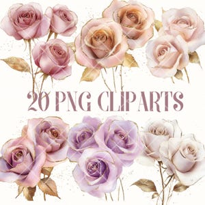 20 PNG Aquarell Rosen Cliparts mit Gold-Glitter-Akzenten | Elegante Blumenbilder für die Hochzeit, Scrapbooking und digitales Design