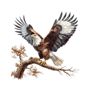 12 PNG Bald Eagle Clipart Pack – Illustrazioni di aquile maestose e di alta qualità per artigianato, arte e design digitali e stampabili