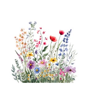 12 PNG Wildflower Border Clipart , Digital Clipart, Watercolor Clipart, High-Quality Images, Digital Download, Paper Crafts, Junk Journals