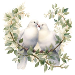 Dos palomas blancas con muérdago: 16 delicados cliparts de acuarela, románticos, naturales e ideales para papelería, bricolaje y decoración, decoración de bodas.