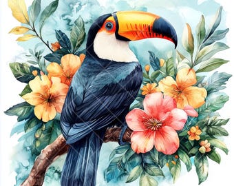 水彩画のオオハシのクリップアート：熱帯の鳥、ボヘミアンジャングル