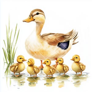 9 cliparts JPG : maman cane et canetons, jolies illustrations d'animaux sauvages pour la décoration de chambre d'enfant, invitations, impressions et créations numériques