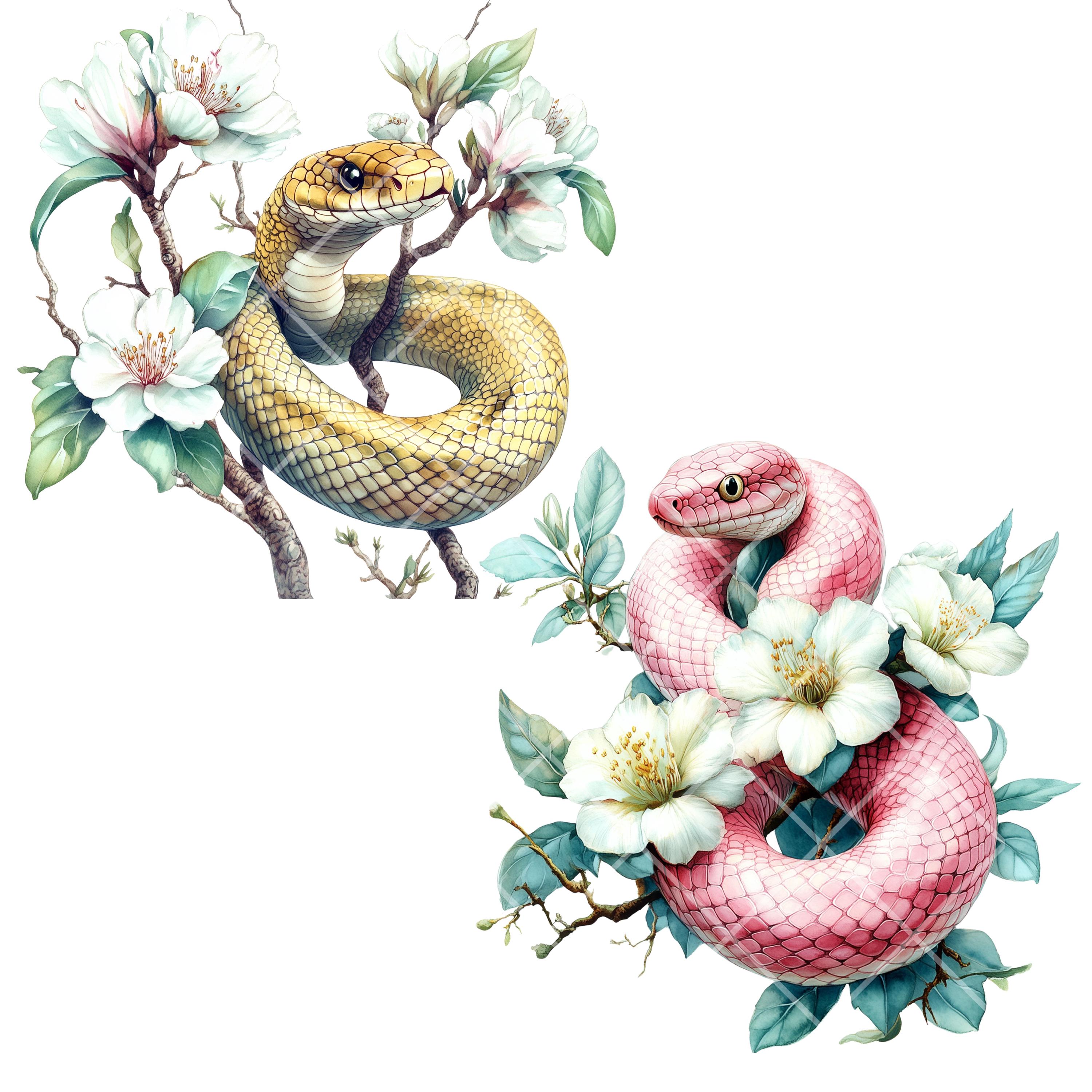 15 PNG クリップアート – 花の要素を持つ水彩画のヘビ、デザイン用の