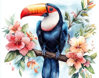 水彩画のオオハシのクリップアート：熱帯の鳥、ボヘミアンジャングル