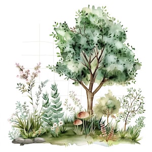 Watercolor Tree Clipart | 13 high-quality JPGs | Meadow Digital Download |  Tree Illustration | Tree Clip Art | Nature Clipart,