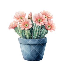 10 png-cactus-changers | Aquarelcactus met roze bloemen in potten | Set scherpe en stekelige planten, Spring Vibes, digitale download