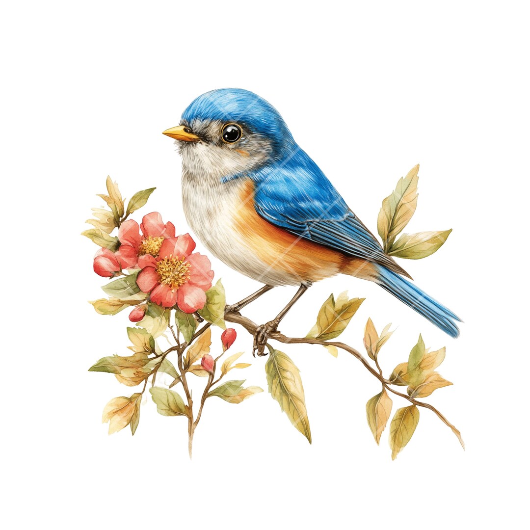 花と鳥のクリップアート：枝に止まる水彩画の春の鳥（デジタル