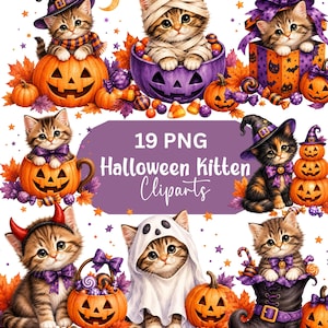 May include: A digital collection of 19 PNG Halloween kitten clipart images featuring tabby kittens dressed in costumes like witches, mummies, and ghosts, surrounded by pumpkins, autumn leaves, purple bows, and candy, with the text 19 PNG Halloween Kitten Cliparts.