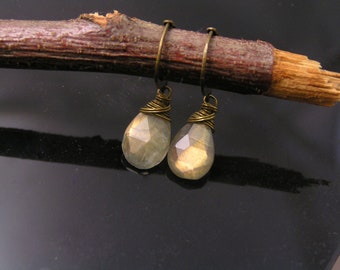 Labradorite Earrings, Hoop Fittings, E2061f