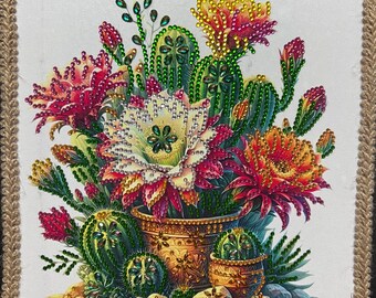 cactus, décor du désert, décor du sud-ouest