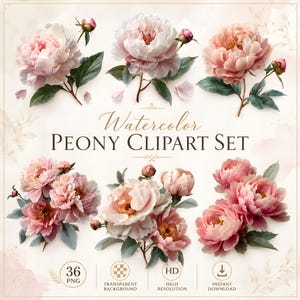 May include: A watercolour peony clipart set showcasing six arrangements of pink and white peonies with green leaves. The text "Watercolor PEONY CLIPART SET" is visible. Icons indicate 36 PNG files, a transparent background, high resolution, and instant download.