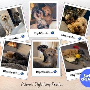 Polaroid Style Personalised Icing Cupcake Toppers