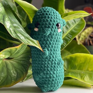 Pickle Plush | Crochet Pickle | Kawaii gift | Handmade Amigurimi Crochet | Medium | Food Plush | Soft Toy | Cute | Plushie | Pickle Gift