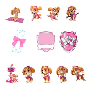 Pakket van 12 Fly Paw Patrol-afbeeldingen PNG