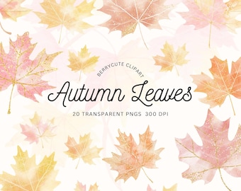 Ahornblatt Clipart-Pack, Herbstlaub Png, Herbst Clipart, Herbstlaub, Herbst Clipart, Aquarell Ahornblätter Clipart Bundle