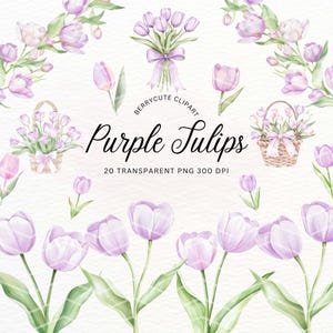 Purple Tulip Clipart Pack, Watercolor Tulip, Spring Floral Clipart, Spring Flower Illustration, Botanical Clipart, Spring Invitation Png