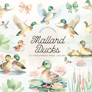 Mallard Duck Clipart Pack, Watercolor Duck Clipart, Duck PNG, For Baby Shower Invite, Boy Birthday Party Invitation, Printable Clip Art, NTR
