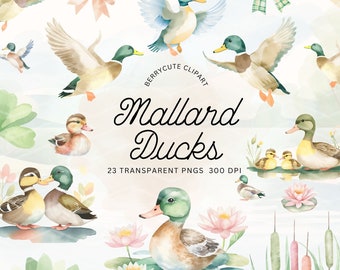 Paquete de imágenes prediseñadas de patos ánade real, imágenes prediseñadas de patos en acuarela, imágenes PNG de patos, para invitaciones de baby shower, invitaciones de fiestas de cumpleaños para niños, imágenes prediseñadas imprimibles, NTR