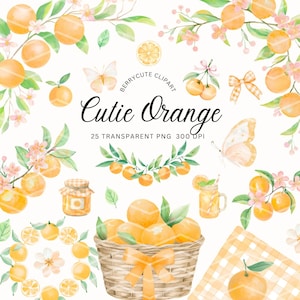 Orange Clipart Pack, Little Cutie Clipart, Cutie Orange Clipart, Summer Citrus Png, Baby Shower Clipart, Orange Blossom, Summer Fruit, FSTE