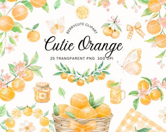 Orange Clipart Pack, Little Cutie Clipart, Cutie Orange Clipart, Summer Citrus Png, Baby Shower Clipart, Orange Blossom, Summer Fruit, FSTE