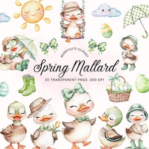 Mallard Duck Clipart, Watercolor Duck Clipart, Baby Duck PNG, For Baby Shower Invite, Boy Birthday Party Invitation, NTR