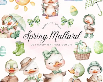 Mallard Duck Clipart, Watercolor Duck Clipart, Baby Duck PNG, For Baby Shower Invite, Boy Birthday Party Invitation, NTR