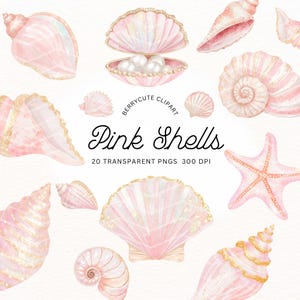 Paquete de imágenes prediseñadas de conchas marinas rosas, conchas marinas de sirena rosa iridiscentes PNG, imágenes prediseñadas de conchas marinas de acuarela, conchas marinas con brillantina PNG, imágenes prediseñadas bajo el mar