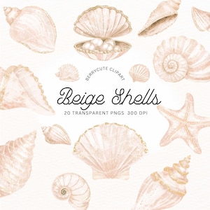 Boho Seashell clipart Pack, iriserende beige zeemeermin schelpen png, aquarel schelp clipart, glitter schelpen png, Under the Sea clipart