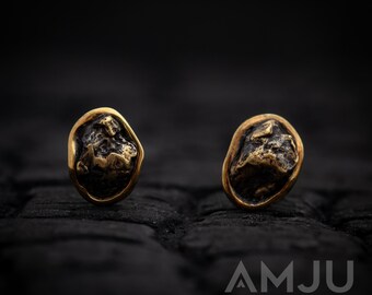 Sikhote Alin meteorite earrings