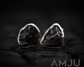 Campo del Cielo Meteorite earrings