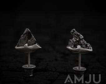 Mountains of Campo del Cielo Meteorite earrings