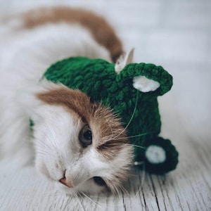 Pet Crochet Pattern PDF – Funny Dog Hat or Cat Hood – Easy DIY Pet Costume – Crochet Pet Hat Tutorial – Instant Download