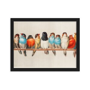 Framed matte paper poster of birds