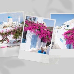 Santorini, Greece Pink Flower Street Scenes Set of 3 Vertical Digital Downloads
