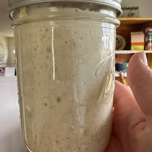Sourdough Starter