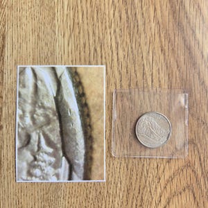 May include: A close-up of a quarter coin in a plastic sleeve, next to a cropped image of a coin. The quarter features a mountain landscape and the word "Colorado". The background is a wooden surface.