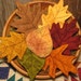 see more listings in the E Patterns - Fall section