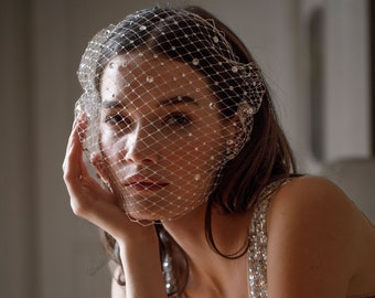 Intrigue Silver Net Crystal Dotted Cage veil No. 2408