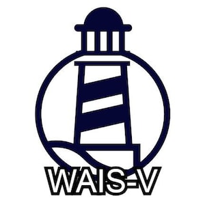 Modello di rapporto della Wechsler Adult Intelligence Scale - Quarta edizione (WAIS-V)