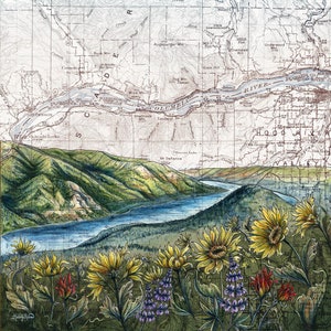 May include: A vintage map of the Columbia River Gorge with a scenic view of the river and surrounding hills. The map is overlaid with a watercolor painting of wildflowers, including sunflowers, lupines, and Indian paintbrush.