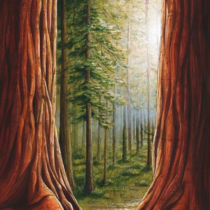 Redwood National Park Painting Print: California Forest Art