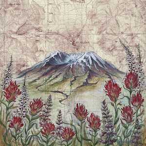 Mt St Helens Wildflowers, Mount Saint Helens painting print Mountain illustration, Washington volcano mountain print, mountain topo map art image 1