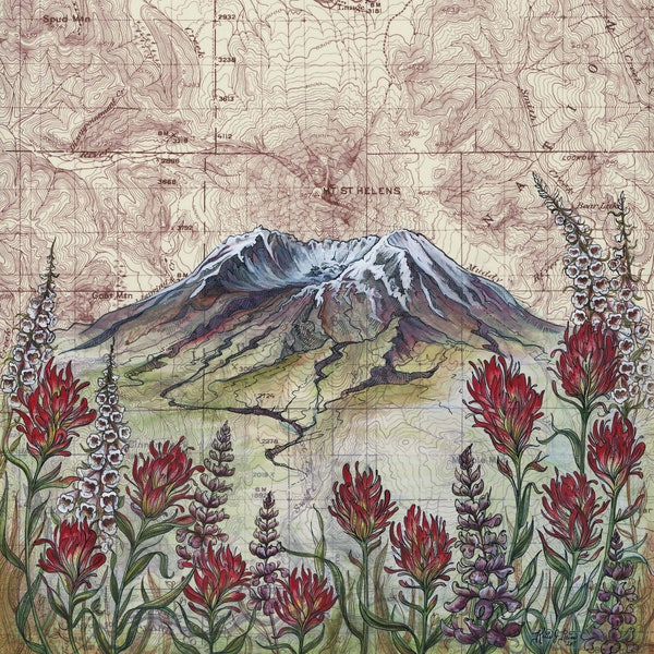 Mt St Helens Wildflowers, Mount Saint Helens painting print Mountain illustration, Washington volcano mountain print, mountain topo map art