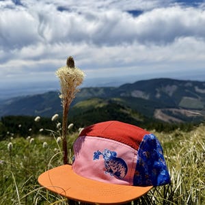 May include: A five-panel cap featuring a red crown top, a pink front panel with a blue graphic of a pika holding a plant, and a blue side panel with a floral pattern. The cap has a flat orange brim and is constructed with stitched seams.