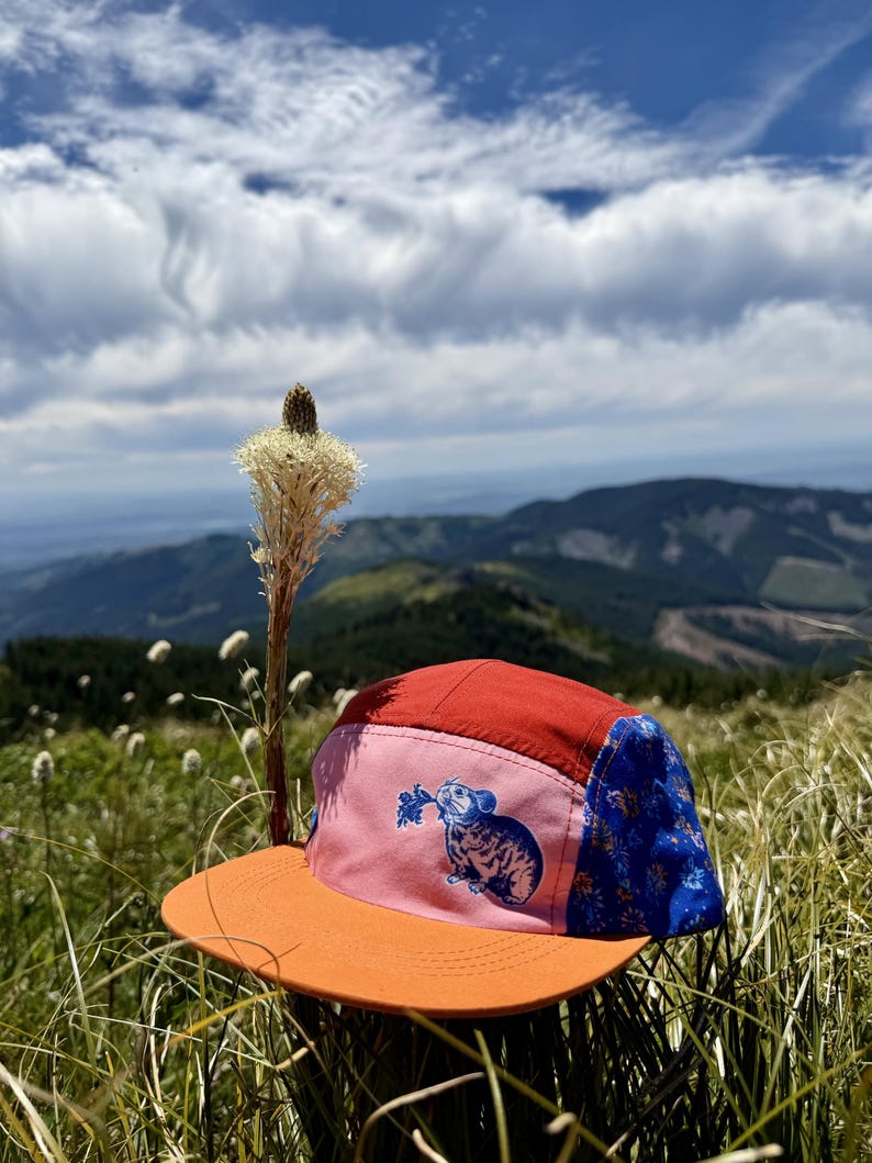 May include: A five-panel cap featuring a red crown top, a pink front panel with a blue graphic of a pika holding a plant, and a blue side panel with a floral pattern. The cap has a flat orange brim and is constructed with stitched seams.