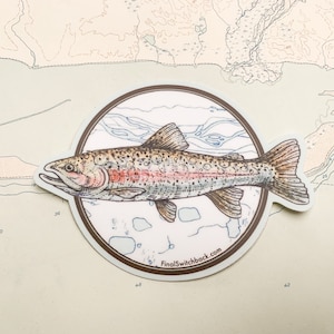 Rainbow Trout Vinyl Sticker, Fish sticker, Fishing weatherproof sticker, fisherman sticker