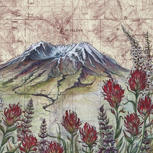 Mt St Helens Wildflowers, Mount Saint Helens painting print Mountain illustration, Washington volcano mountain print, mountain topo map art image 2