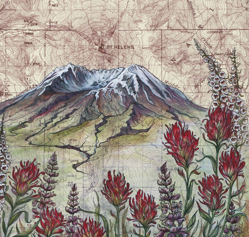 Mt St Helens Wildflowers, Mount Saint Helens painting print Mountain illustration, Washington volcano mountain print, mountain topo map art image 2