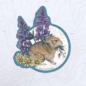 May include: A watercolor illustration of a pika holding foliage, surrounded by purple lupine flowers and yellow daisies. The image is set against a light blue background with topographic lines and the text "Final Switchback".