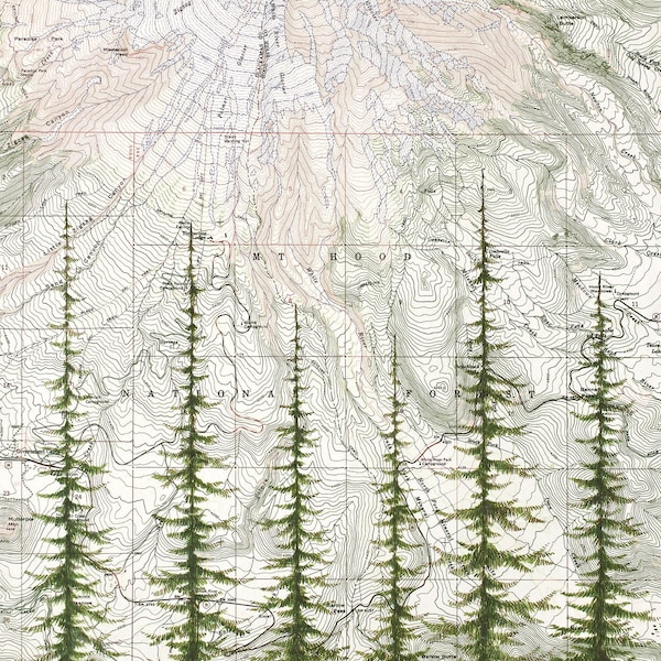 Mount Hood National Forest - Etsy